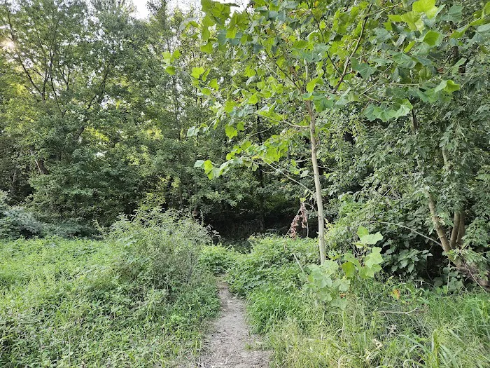 National Park Service - Delaware River - Jerry Lees - Campsites # 33-34 1