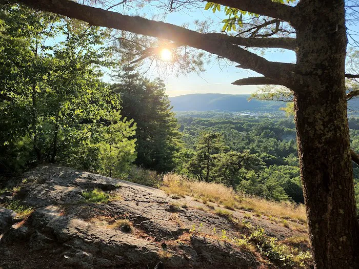 Mountain Top RV Park 5