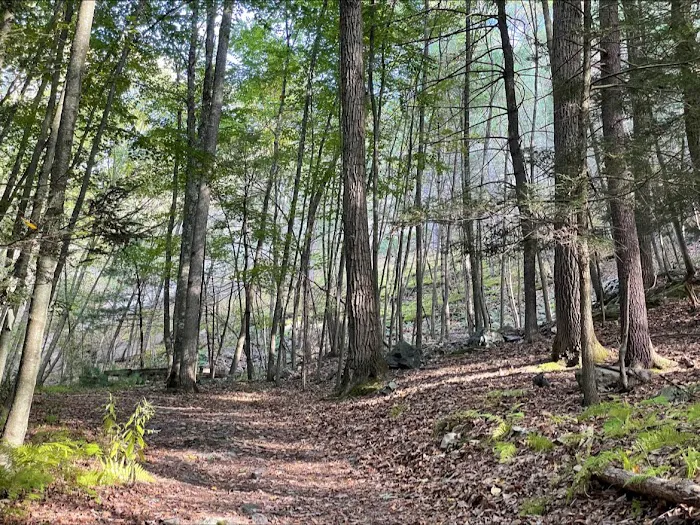 Mountain Top RV Park 3