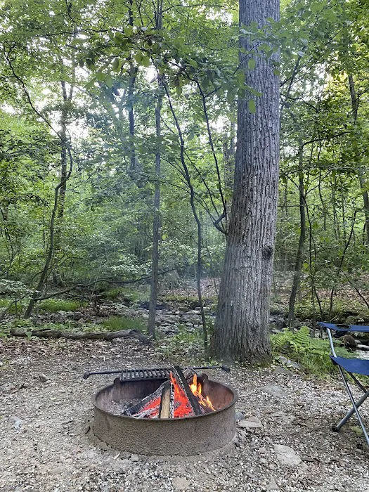 Camp Taylor Campground 6