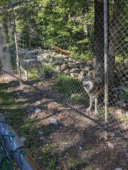 Camp Taylor Campground 4
