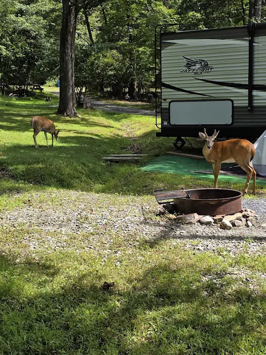 Camp Taylor Campground 3