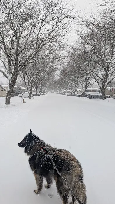 Evergreen Village Comm Club 1