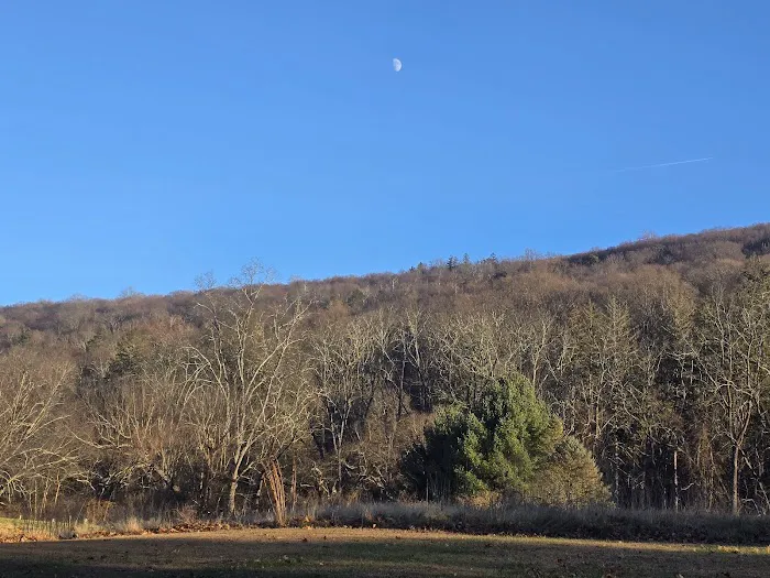 Worthington State Forest Campground 0