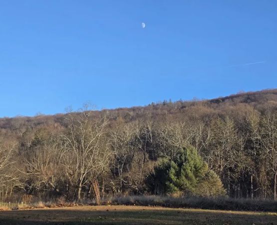 Worthington State Forest Campground