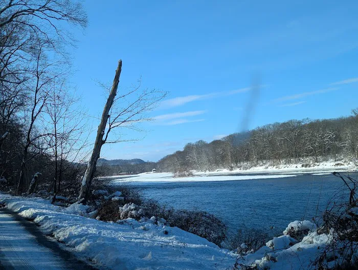 Worthington State Forest Campground 1