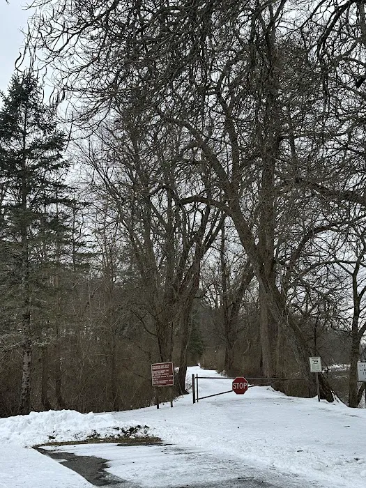 Worthington State Forest Campground 7