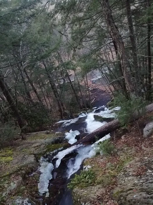 River Bend Group Campground 7