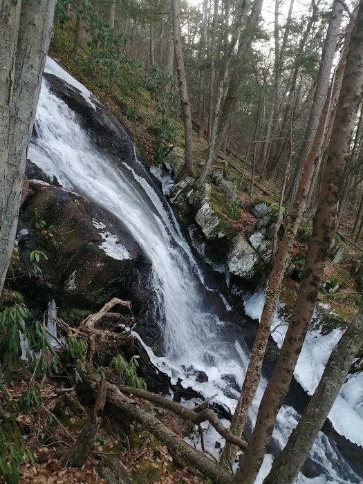 River Bend Group Campground 9