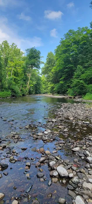 River Bend Group Campground 5