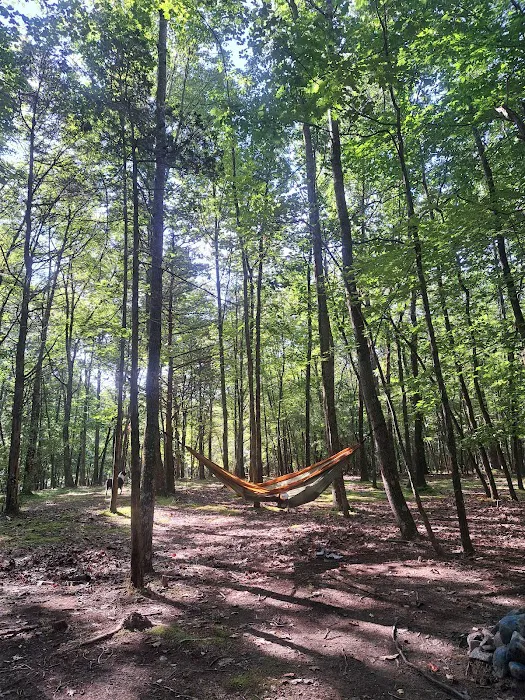 Hickory Lake Campground 4