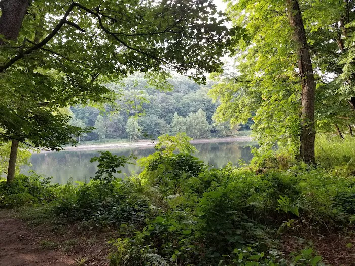 MC-2 River Campsite 1