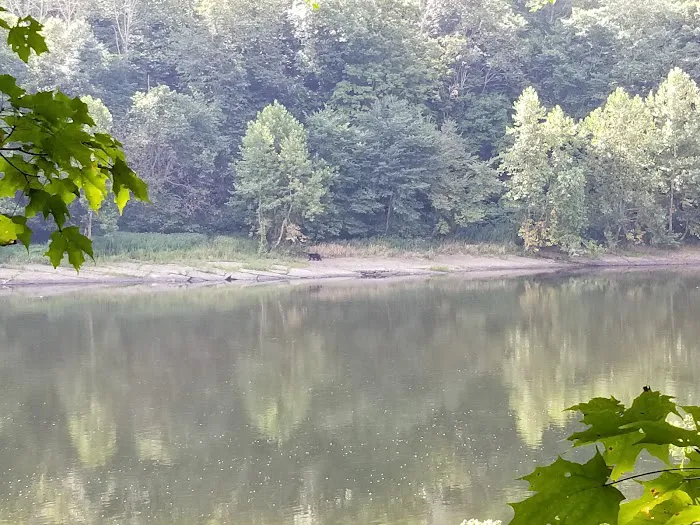 MC-2 River Campsite 0