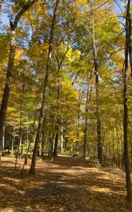 Dingmans Campground 7