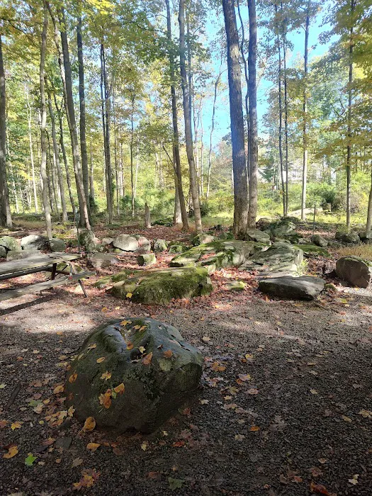 Colonial Woods Family Camping Resort 9