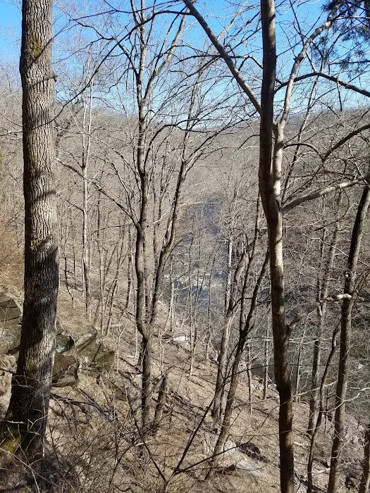 Deer Wood Campground 7