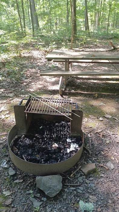 Lake Towhee Camp Grounds 5