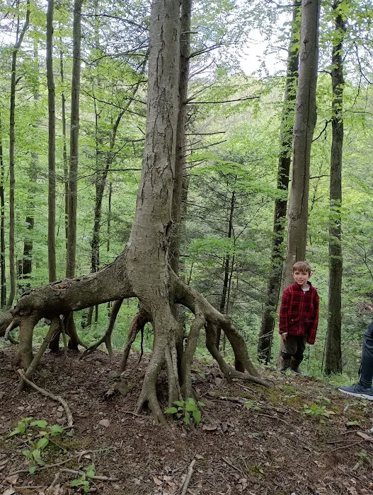 Beaver Vally Camp Grounds 4