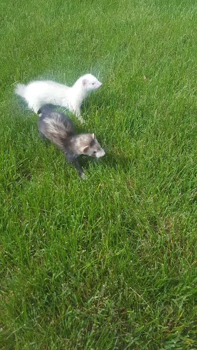 Schweps Mobile Home Park Inc 2