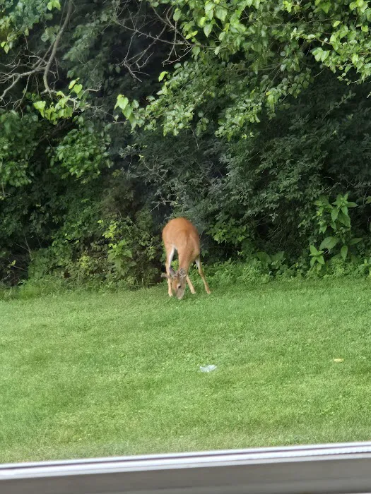 Millers Edgewood Mhp 0