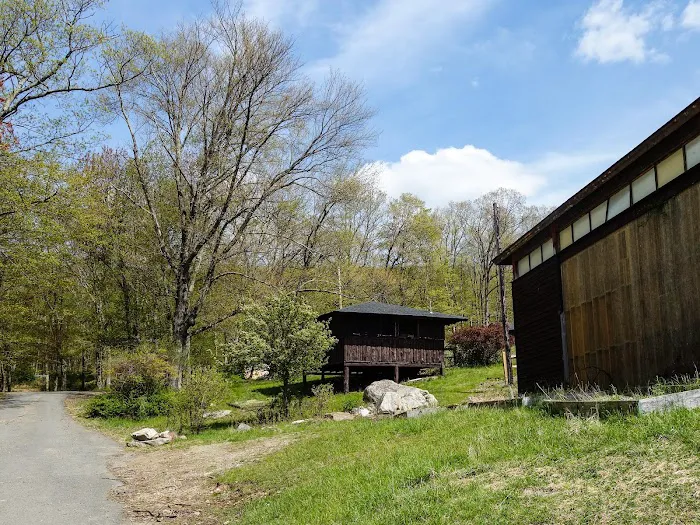 Camp Homeward Bound 7