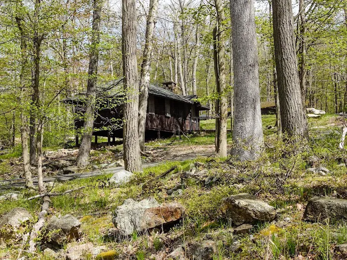 Camp Homeward Bound 2