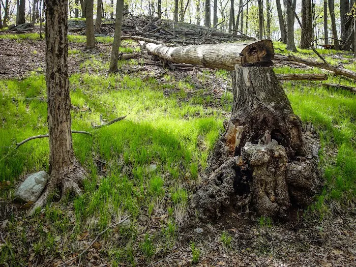 Masonic Camp (K20) 6