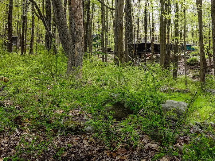 Masonic Camp (K20) 5