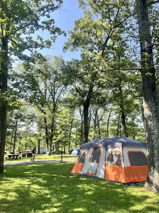 Beaver Pond Campground 6