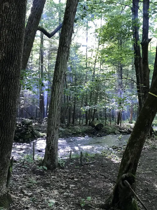 Beaver Pond Campground 9