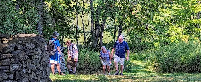 Croton Point Park Tent Camping Area 2