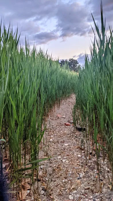 Croton Point Park Tent Camping Area 3