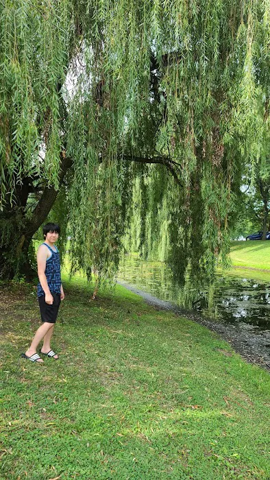 Croton Point Park Campground 3