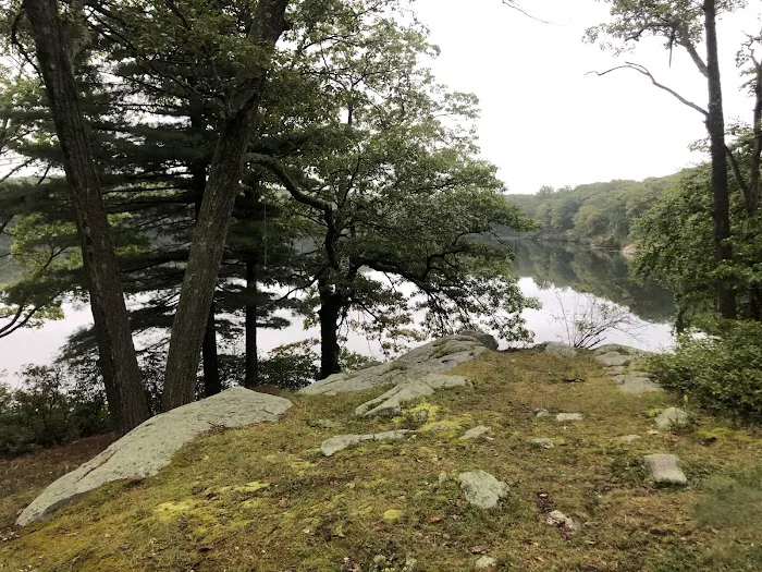 Cedar Pond Campground 3