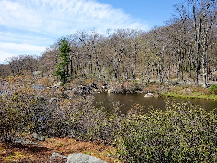 Cedar Pond Campground 4