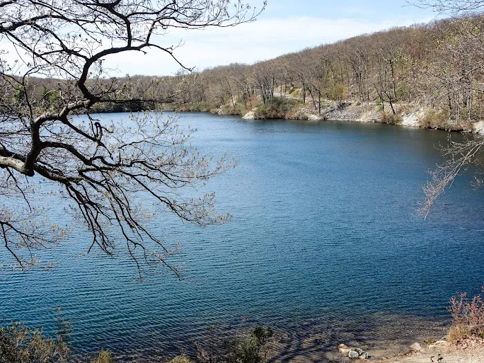 Cedar Pond Campground 2