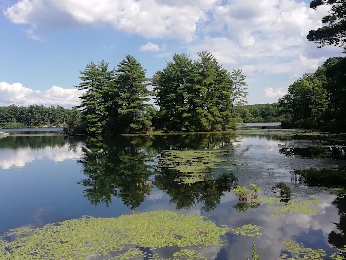 Cedar Pond Campground 1