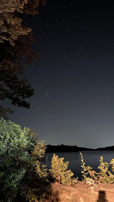 Cedar Pond Campground 6