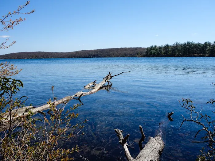 Cedar Pond Campground 5