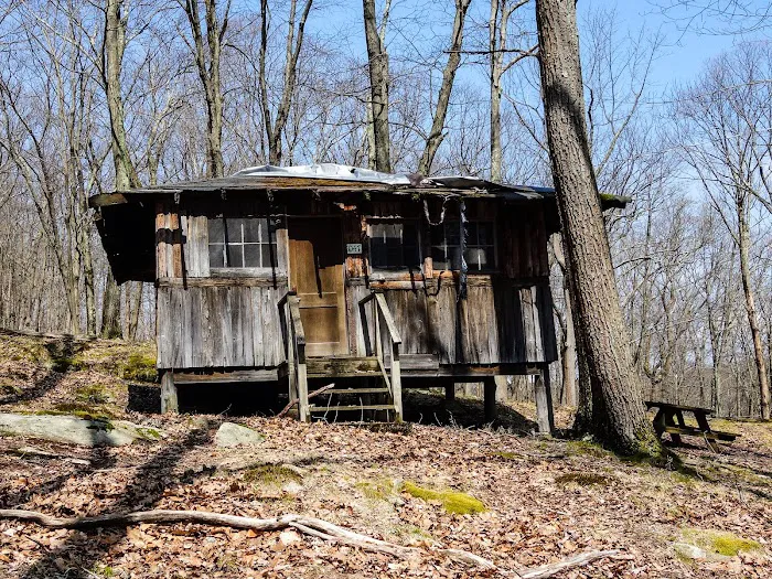 Boys Club of New York 3