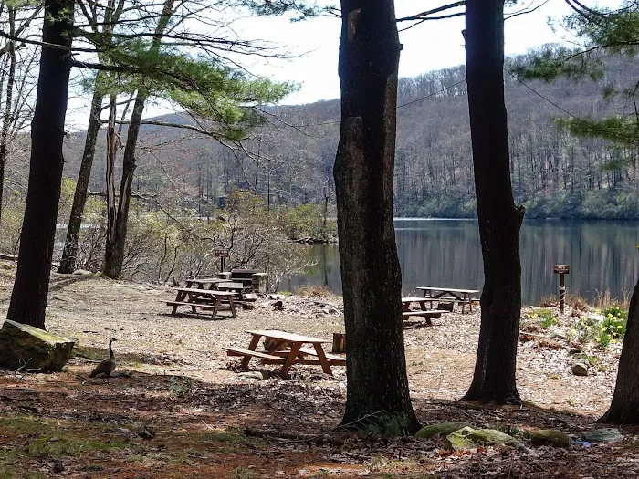 Boys Club of New York 5