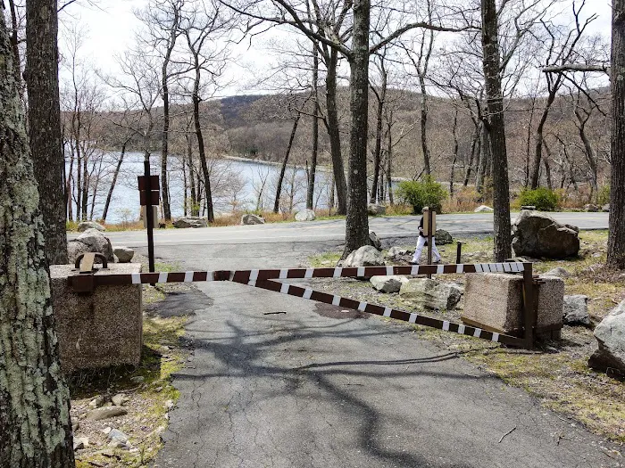 Tiorati Plateau Campground (Reservation Required) 3