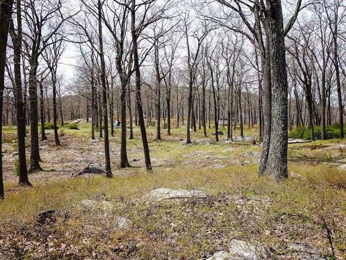 Tiorati Plateau Campground (Reservation Required) 4