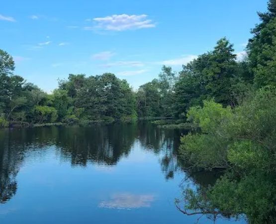 Willow Pond RV Campground