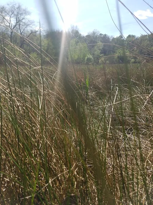 Lakeshore Mobile Village 9