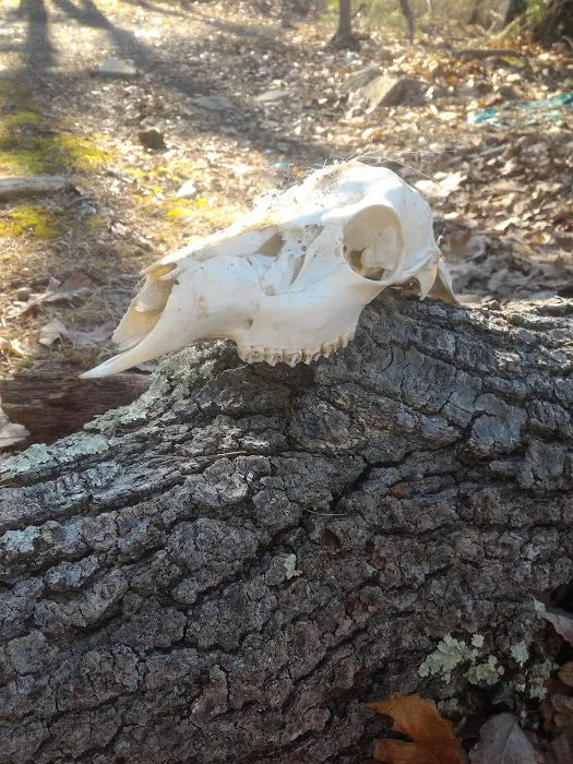 Lakeshore Mobile Village 3