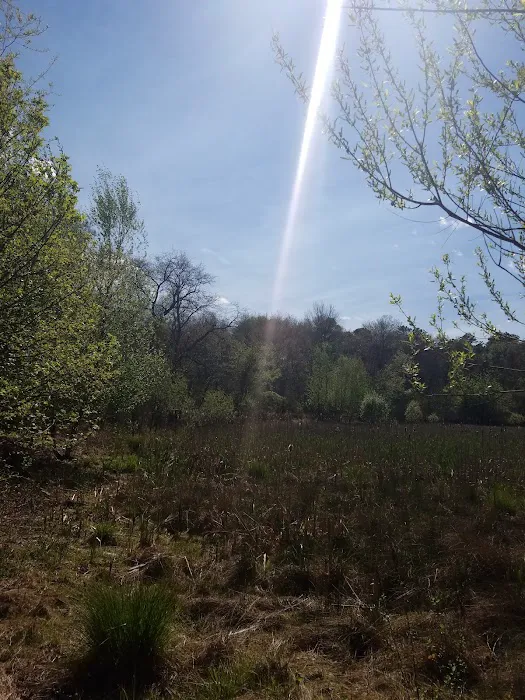 Lakeshore Mobile Village 8