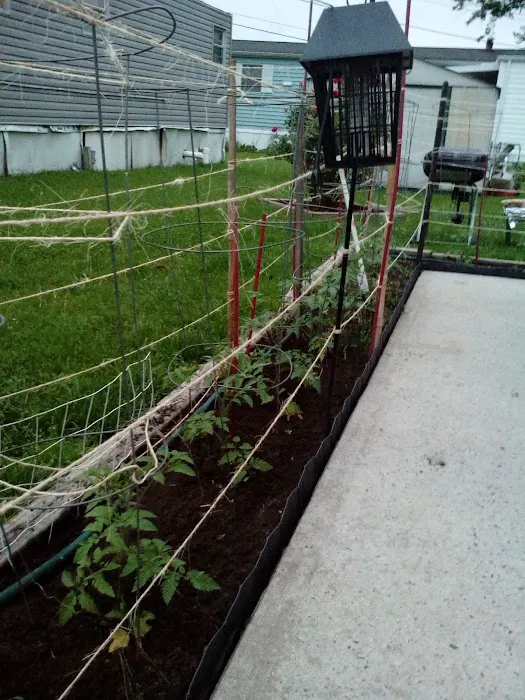 Mobile Estates of Southampton 2