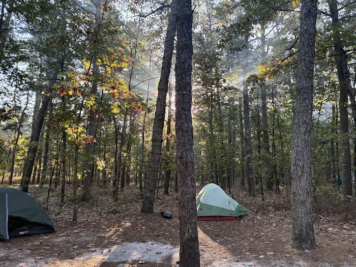 Brendan T Byrne State Forest Campground 5