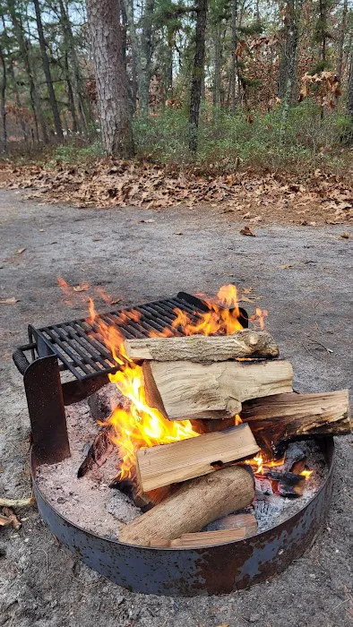 Brendan T Byrne State Forest Campground 7